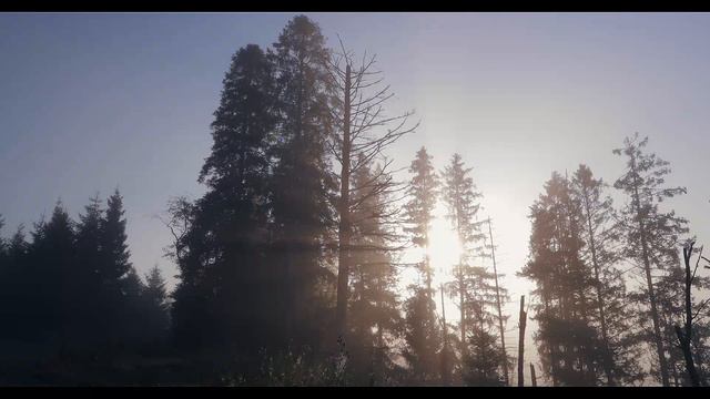 Містичні Карпати смотреть онлайн