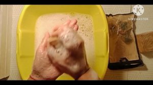 МЫЛЕНИЕ I АЛЕППСКОЕ МЫЛО