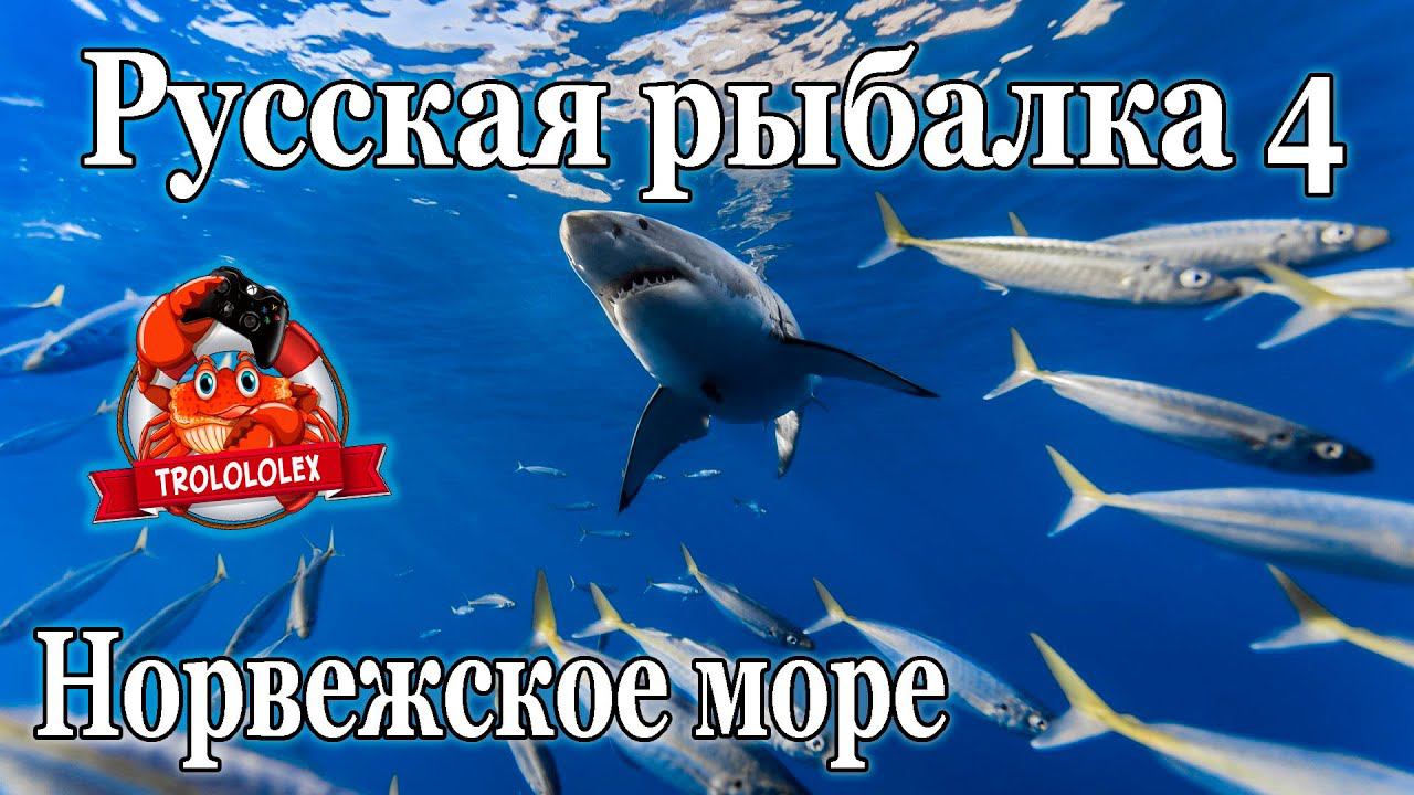 Русская рыбалка 4 Зубатка синяя смотреть онлайн