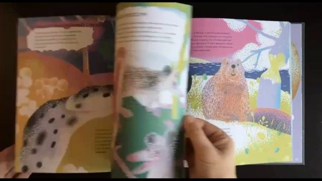 Листаем новинку: "Зубки и зубищи" смотреть онлайн