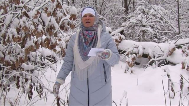 ...Среди зимы...Галины Лунькова