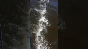 HDX 2.6 4 такта + лодка с навесным таранцем