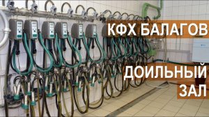 Молочный блок в КФХ Балагов. Как устроено доение. Кабардино-Балкария