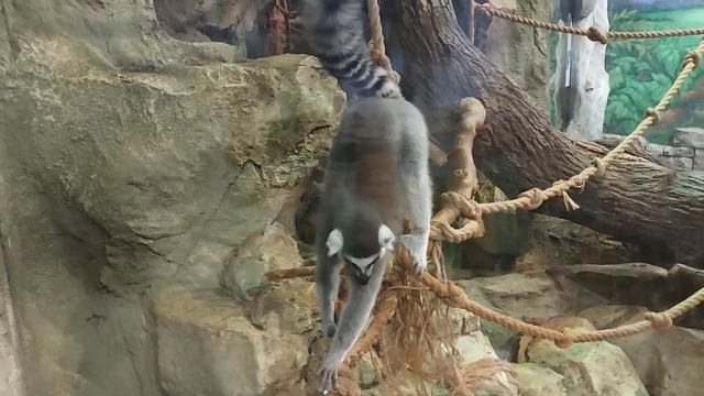 МОЙ ВЫХОДНОЙ / КАК Я ПРОВЕЛА ДЕНЬ!!! смотреть онлайн