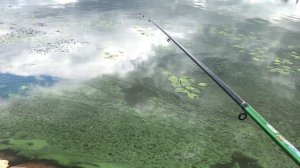 РЫБАЛКА В КАЛИНИНГРАДЕ. Большой улов . Хороший клев