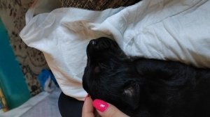 На чили На раслабоне ?