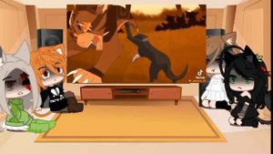 ^реакция котов воителей на тт (короткое) ^    °^°