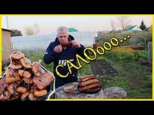 Закоптил много САЛА Вкус копченого сала зависит от маринада