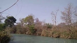 СЫТИН  И ГАРЯЕВ МАТРИЦА ВОССТАНОВЛЕНИЯ ЗРЕНИЯ ЗА 21 ДЕНЬ