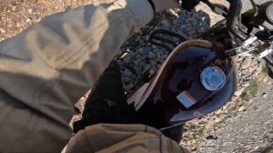 ЛЮТАЯ ПОКАТУШКА НА МОПЕДЕ АЛЬФА! СЪЕЗДИЛ В ЗАБРОШЕННЫЙ ПИОНЕРСКИЙ ЛАГЕРЬ!