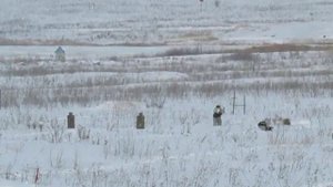 Учения десантников в Поливно под Ульяновском