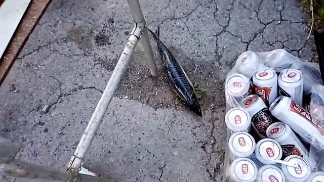 КОПЧЕНАЯ СКУМБРИЯ ОТ БЕШЕНОГО ПОВАРА смотреть онлайн