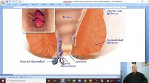 Anatomy GIT Module in English ( Anal canal , part 2 ) ,  by Dr, Wahdan