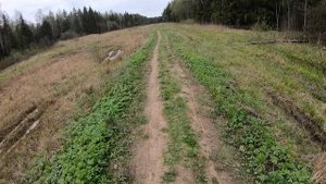 Бег с гантелями в руках...