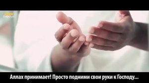 Что такое день Арафа? Гора Арафат