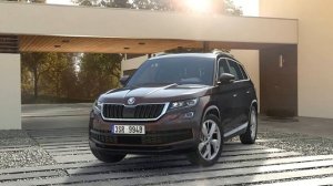 Доступные цвета кузова Шкода Кодиак