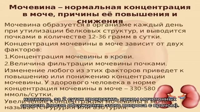 Анализ мочи на мочевину смотреть онлайн