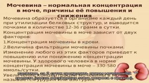 Анализ мочи на мочевину