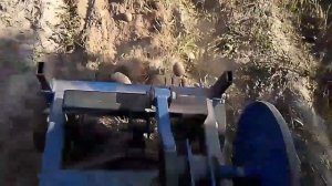 Грохотная картофеле копалка и мототрактор Зубр. Копка картофеля.