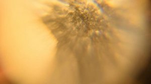 микроскоп из лупы