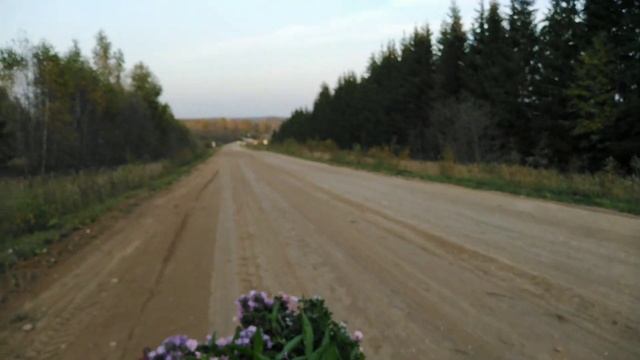 Бабье лето в разгаре?Сажаю хризантемы осенью?️ планирую, мечтаю?Цветник с нуля? смотреть онлайн