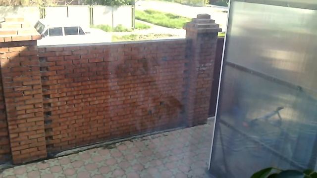 Беспредел судебных приставов в Ростовской области.