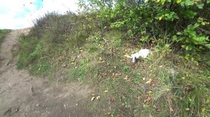 РЫБАЛКА НА ОКУНЯ. ЛОВЛЯ ОКУНЯ на водохранилище ОСЕНЬЮ.Рыбалка2021.рыбалка на спиннинг.