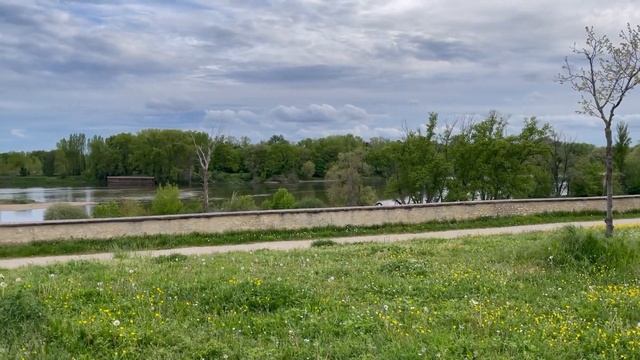 Парк вдоль реки Луары, Орлеан, Франция смотреть онлайн