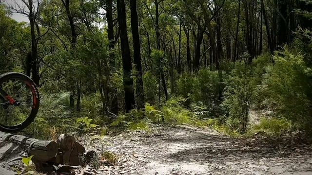 12 month long term review | Giant Trance 27.5 смотреть онлайн