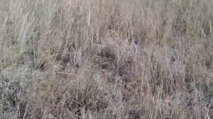 дальнобой Башкирия гора Сатыр-Тау забрался)