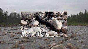 Таймень 20кг, руками. Рыбалка в Забайкалье.