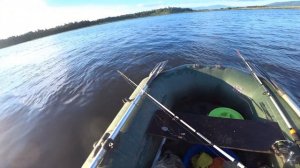 Рыбалка на сазана на реке Баргузин продолжается