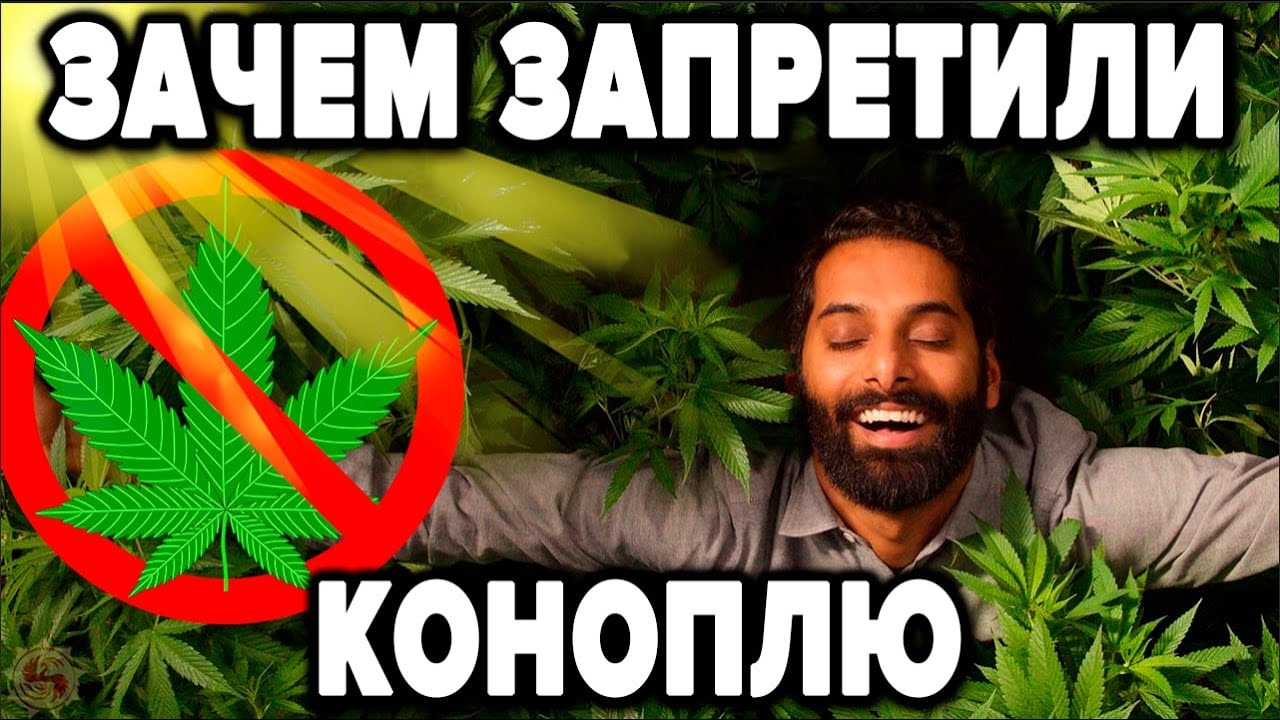 Новости о конопле видео сколько листиков у марихуаны