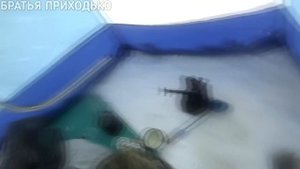 ЛОВИМ СОРОГУ И ОКУНЯ НА БЕЗКИВКОВУЮ УДОЧКУ