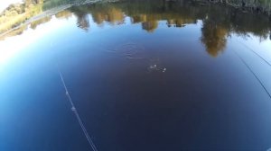 Рыбалка! Ловля краснопёрки на попла поппер!!!!