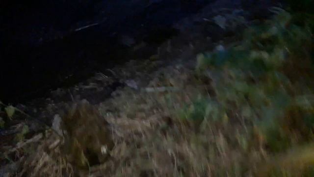 Вносим Евролайтинг Плюс. Агро-канал смотреть онлайн