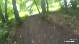 Катаюсь в лесу.Упал с велосипеда