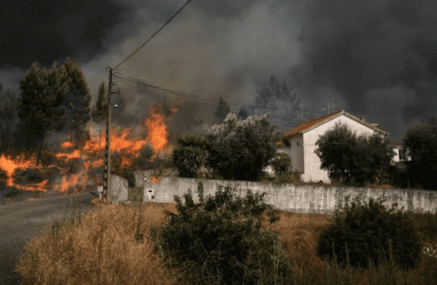 В терзаемую лесными пожарами Португалию ожидает еще и аномальная жара