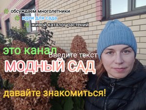 Канал МОДНЫЙ САД! Давайте знакомиться?