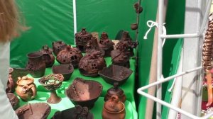 Алтай. Праздник *Цветение маральника*