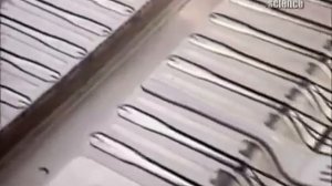 Как делают одноразовую посуду