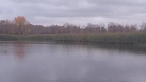 река Крутец