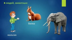 Имя существительное. Понятие. Русский язык 2 класс