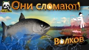 RF4 ПОТ НА ВОЛХОВЕ ДЛЯ НОВИЧКОВ И НЕ ТОЛЬКО #рр4