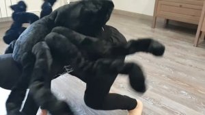 Костюм паука.