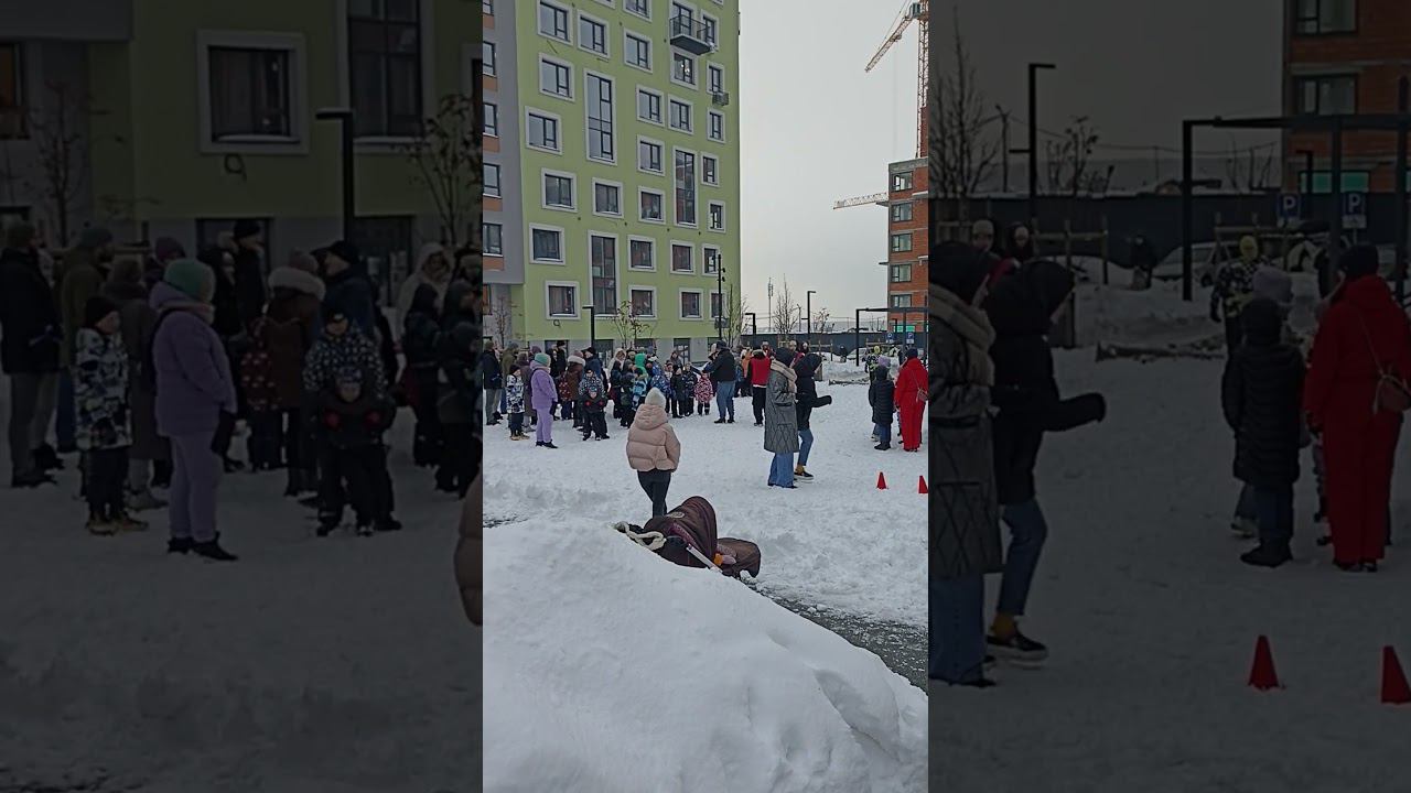 Праздник на 23 февраля #shorts #брусника #videoshort смотреть онлайн