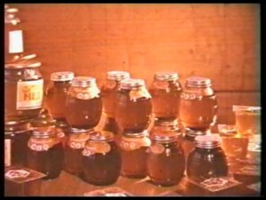 Советское пчеловодство. Технология производства продукции пчёл