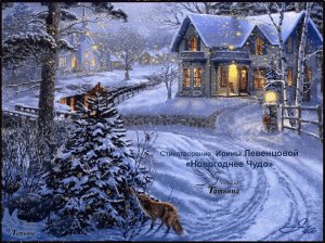 «Новогоднее Чудо». Стихотворение Ирины Левенцовой читает Татьяна