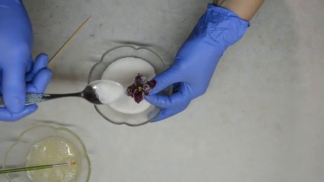 засахаренные цветы / как за сахарить цветы смотреть онлайн