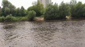 Когда сделают мост от Бежицкого пляжа до Флотской